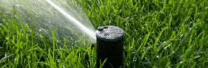 Golden State Sod Watering Schedule